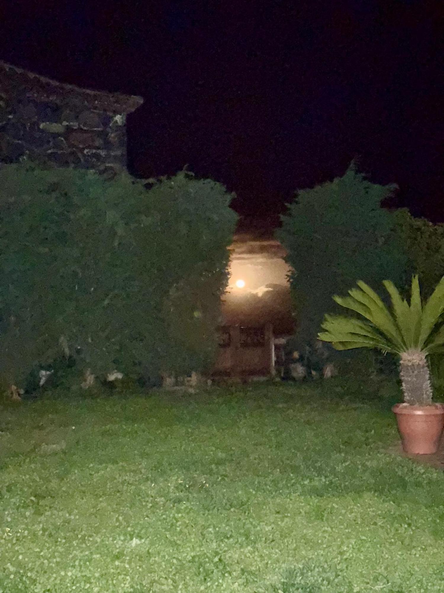 Casa Rural Quinta Los Naranjos Tigalate Ngoại thất bức ảnh